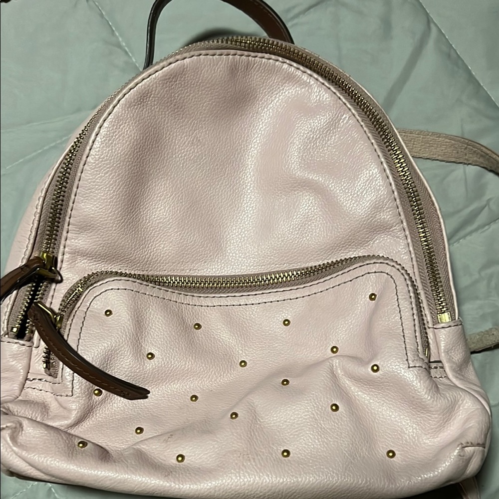 Fossil Pink and Brown Backpack with Smooth Leather-like Finish